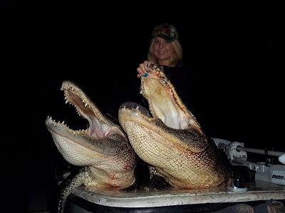 Charlend and two gators