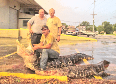 Tim Totten Hancock gators