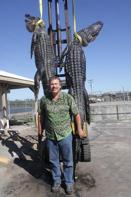 Bill with gators