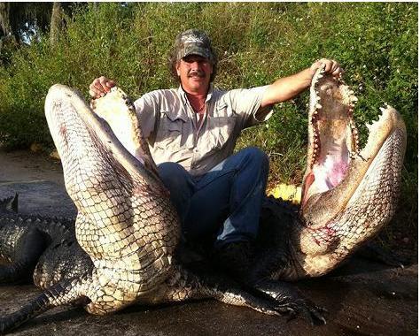 Bill with gators