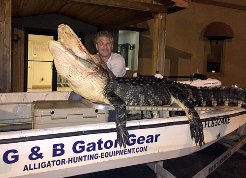 Bill with gator