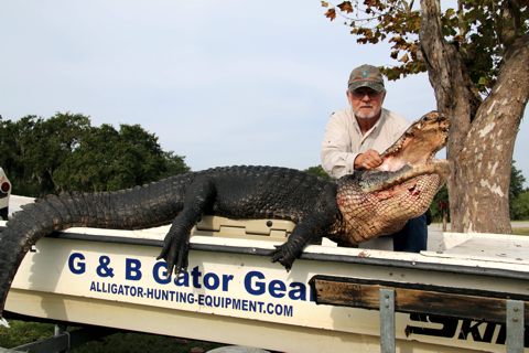 George and gator